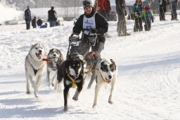 Lenk 2012 SM
